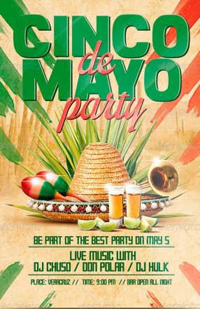 Cinco de Mayo Party Flyer Poster Template