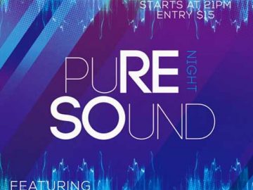 Pure Sounds Night Free Flyer Template