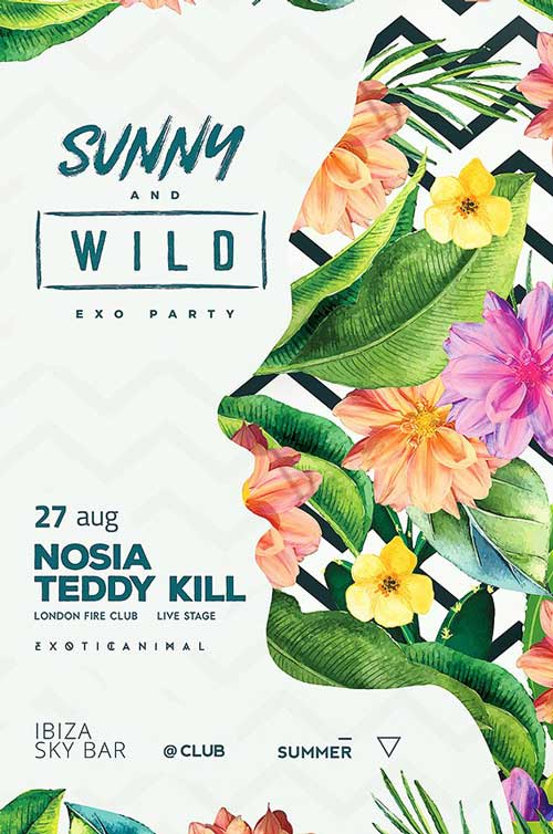 Summer Party Event Flyer and Poster Template